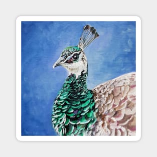 Peahen - painted bird portrait Magnet