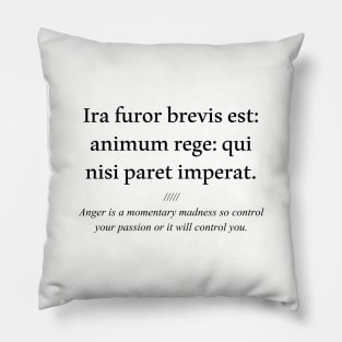 Latin quote: Ira furor brevis est: animum rege: qui nisi paret imperat. Pillow