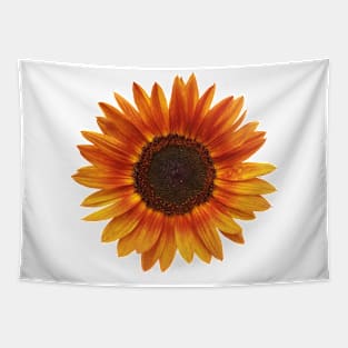 A beatiful Sunflower Tapestry