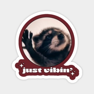 Dancing Raccoon Pedro Vintage Just Vibing lover  Meme Magnet