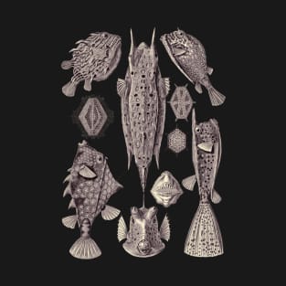 Ernst Haeckel Ostraciontes Fish Lavander Grey T-Shirt