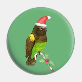 Meyer's parrot Christmas style Pin