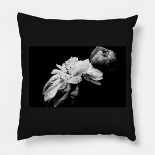 Peonies - After The Rain Pillow