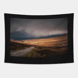 The golden landscape of Sally Gap Tapestry