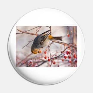 Grosbeak Pin