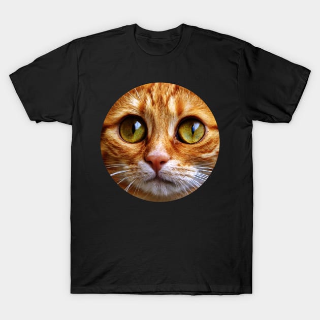 Cat PFP' Men's T-Shirt