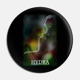 Constellation of the Hydra Pin