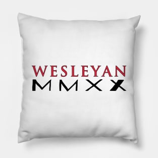 Wesleyan University 2020 Pillow