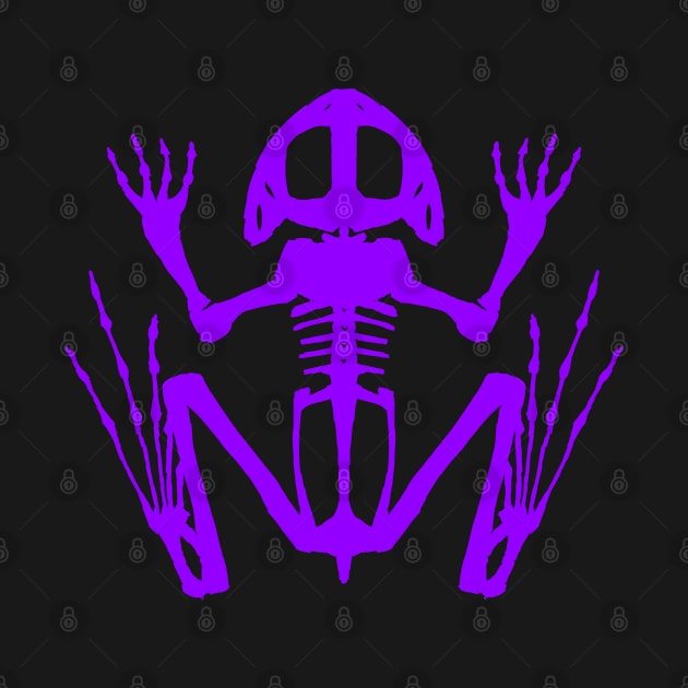 Frog Skeleton (Purple) by braincase