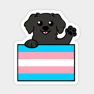 Love is Love Puppy - Black Lab Trans Magnet