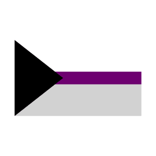 Demisexual Pride Flag T-Shirt