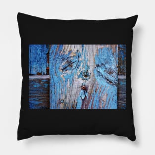 Sleepy Fence abstract Pillow