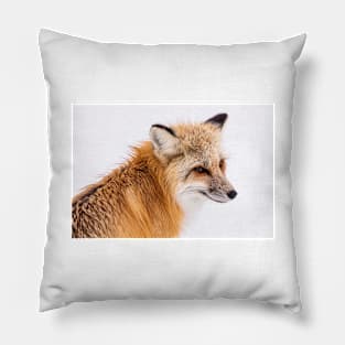 Fox Pillow