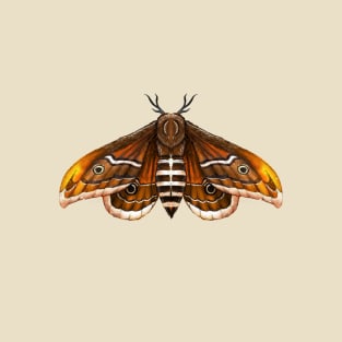 Emperor Moth T-Shirt