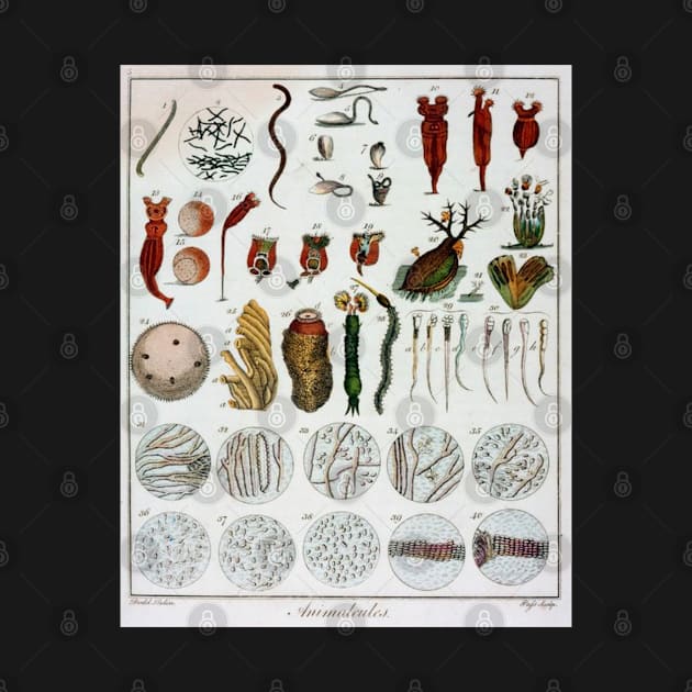 Micro Biology Life Vintage Poster by SpaceWiz95