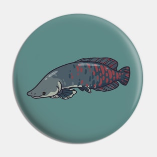 Arapaima Pin