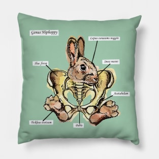 Genus Hiphoppy Pillow