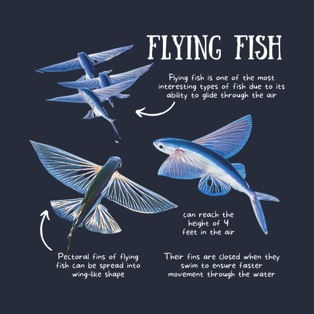 Animal Facts - Flying Fish by Animal Facts and Trivias