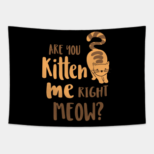 Are You Kitten Me Right Meow Funny Cats And Kittens Tapestry