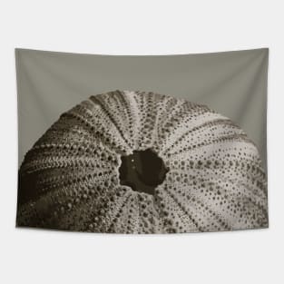 Sea Urchin Tapestry