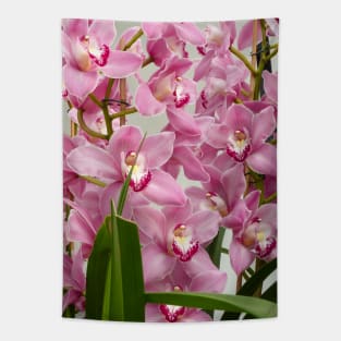 Pink Cymbidium Orchids Tapestry