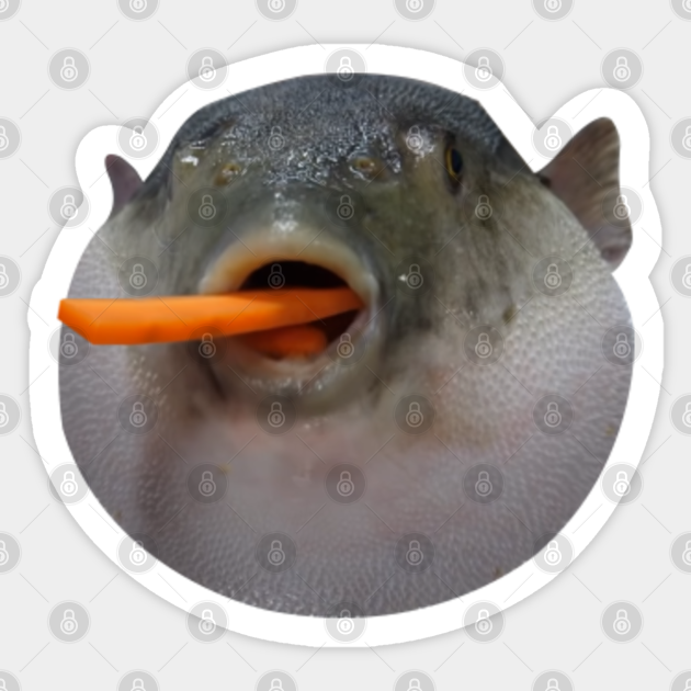 Puffer fish Meme - Meme - Sticker