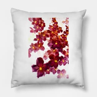 Designer 103365 x3 Pillow