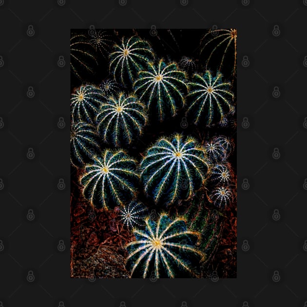 Cactus Fireworks by machare