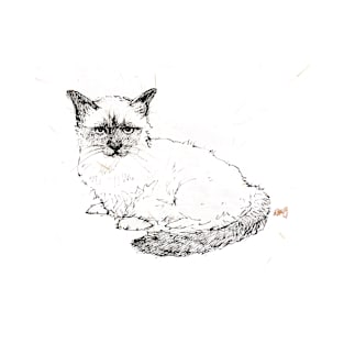 Ragdoll Kitten ~ ink drawing T-Shirt