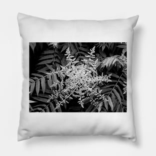 Pere Marquette State Park Study 1 Pillow