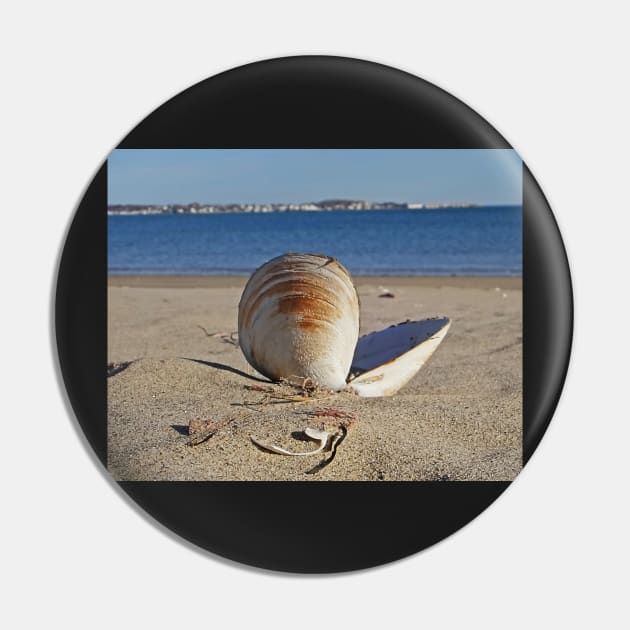 Revere Beach Clam Shell Back Revere MA Pin by WayneOxfordPh