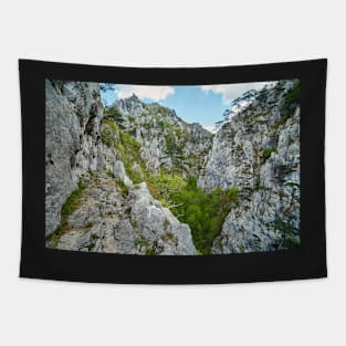 Rocky trail on mountains Tapestry