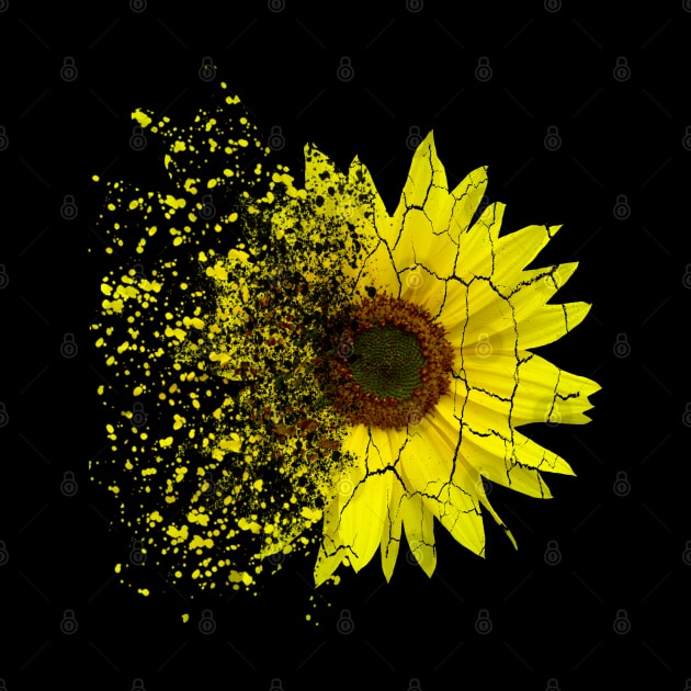 Sunflowers decay, disintegration, sunflower, splash by rh_naturestyles