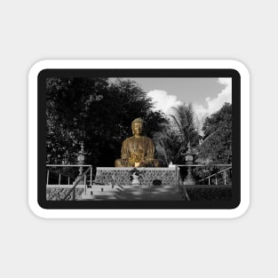Lahaina Jodo Buddha (As it Was) Magnet