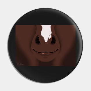 Chocolate Stripe Horse Face Pin