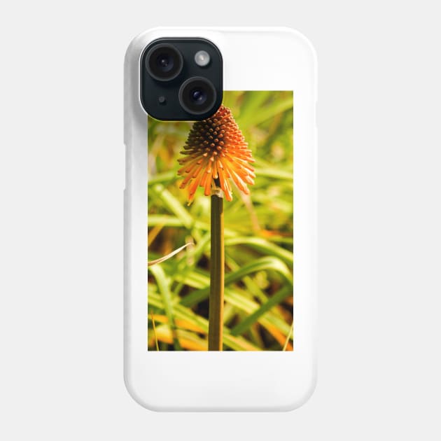 122014 atoze Phone Case by pcfyi