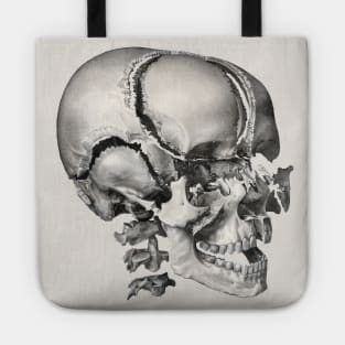 Vintage Science, Antique Human Anatomy Skull Tote