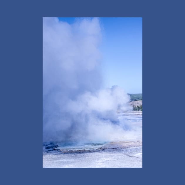 Clepsydra Geyser Yellowstone Wyoming by Debra Martz