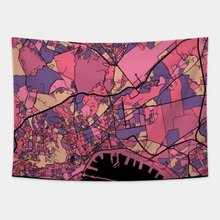 Naples Map Pattern in Purple & Pink Tapestry