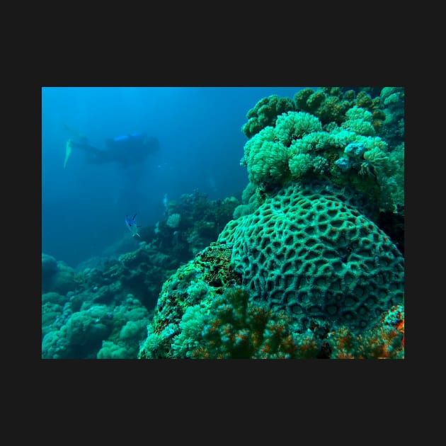 Scuba Diving in the Red Sea by likbatonboot