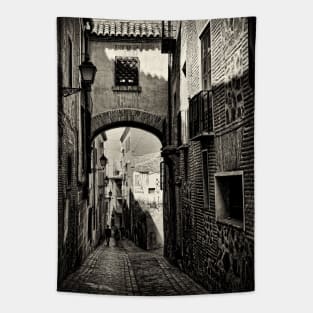 Monochrome study in Toledo Tapestry