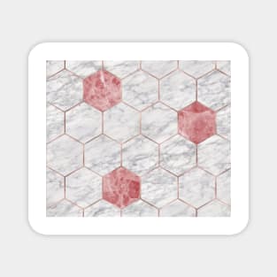 Rosa marble hexagons Magnet