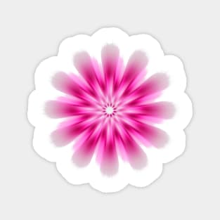 Pink Burst Magnet