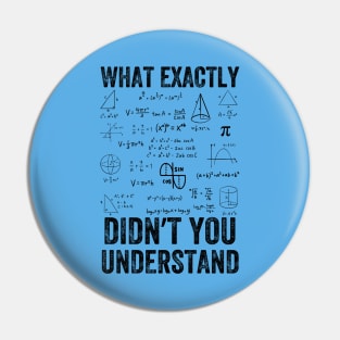 What Exactly Didn't You Understand, mathematics, Vintage style Pin