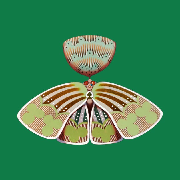 Clubs butterfly by federicocortese