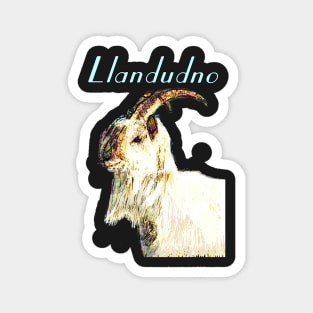 LLANDUDNO GREAT ORME GOAT LIGHT BLUE Magnet