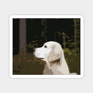 Mymla - Golden Retriever in the woods Magnet