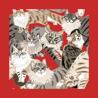 Cats Paradise Red T-Shirt