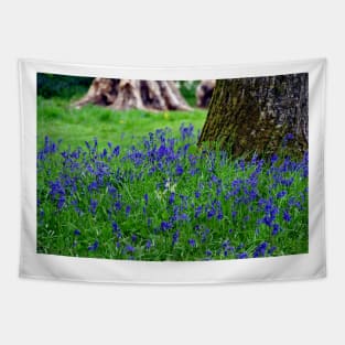 Bluebell Woods Bluebells Basildon Park Reading Berkshire Tapestry