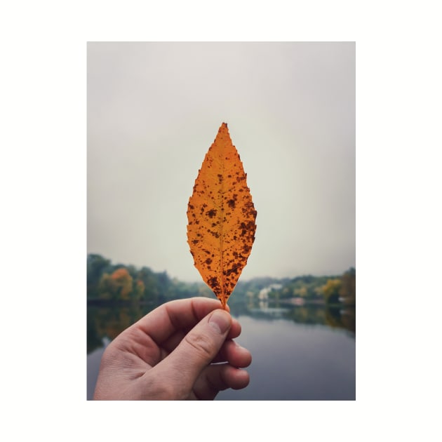 hand holding yellow leaf by psychoshadow